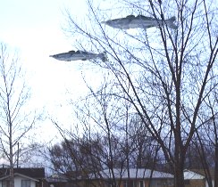 Flying fish!   Aaaaaaaahhh!