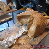 Front & Back Front & Back