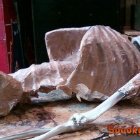 Paper mache ribs Paper mache ribs