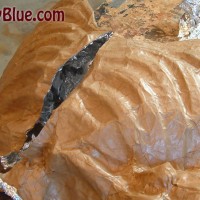 Looks like a roast turkey Looks like a roast turkey