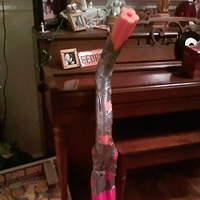 What in the world is that? What in the world is that?