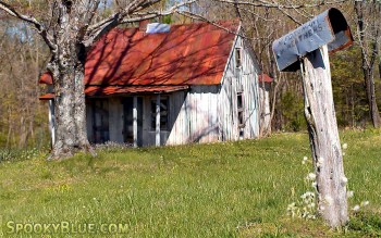 Zork house
