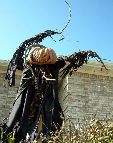 Spooky Blue - Halloween Projects - Scarecrow - Terror on a stick